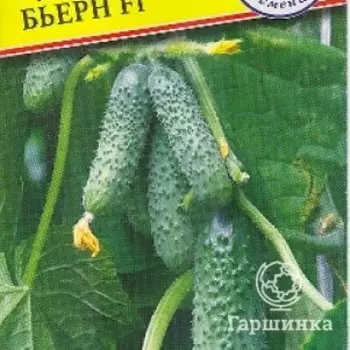 Семена Огурец "Бьерн" F1 5 шт, Престиж
