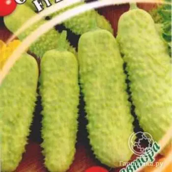 Семена Огурец Белый ангел F1