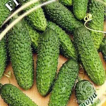 Семена Огурец Бобрик Бобрик F1 1+1/20шт