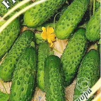 Семена Огурец Брейк 10шт