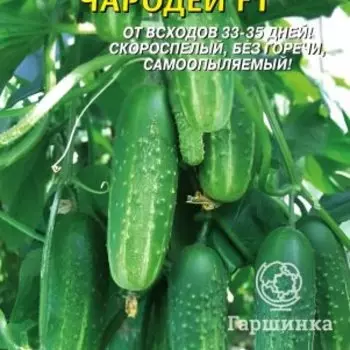 Семена Огурец Чародей F1 10 шт, Плазменные семена