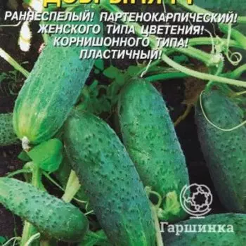 Семена Огурец Добрыня F1, 7 шт, Плазменные семена