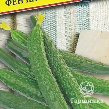 Семена Огурец "Фен Шуй" F1 5 шт, Престиж