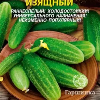 Семена Огурец Изящный 15 шт Плазменные семена