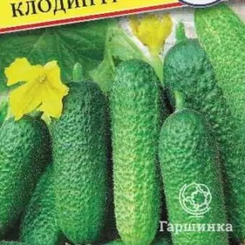 Семена Огурец "Клодин" F1 5 шт, Престиж