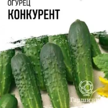 Семена Огурец Конкурент 0,3 г б/п Уд. с. Гавриш