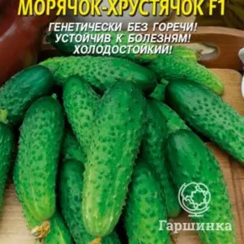 Семена Огурец Морячок-хрустичок F1 10 шт Плазменные семена