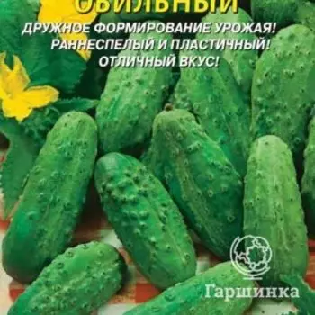 Семена Огурец Обильный 12 шт Плазменные семена