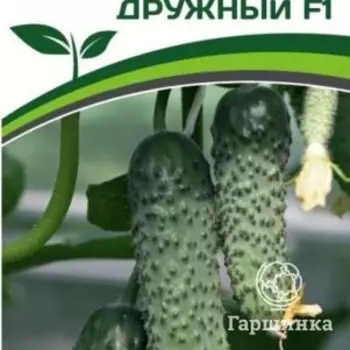 Семена Огурец партенокарпический Дружный F1 10 шт. Партнер