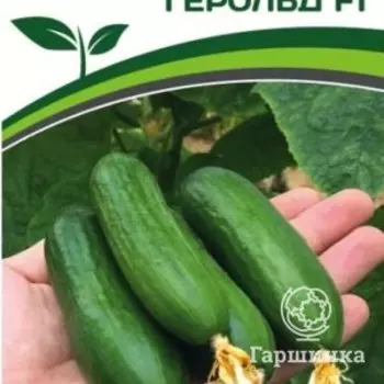 Семена Огурец партенокарпический Герольд F1 5 шт. Партнер