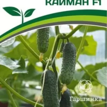 Семена Огурец партенокарпический Кайман F1 10 шт. Партнер