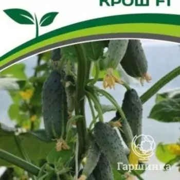 Семена Огурец партенокарпический Крош F1 5 шт. Партнер
