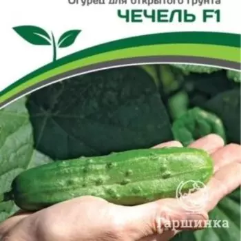 Семена Огурец пчелоопыляемый Чечель F1 0,5 гр. Партнер