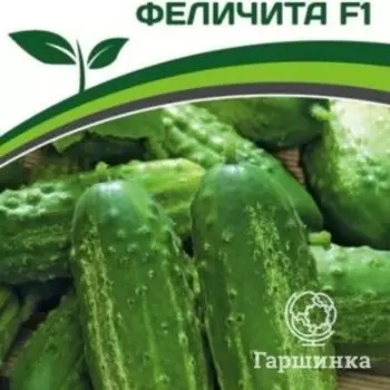 Семена Огурец пчелоопыляемый Феличита F1 0,5 гр. Партнер