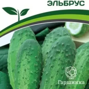 Семена Огурец пчелоопыляемый Эльбрус 1 гр. Партнер
