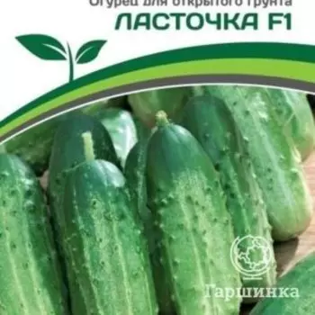 Семена Огурец пчелоопыляемый Ласточка F1 1 гр. Партнер