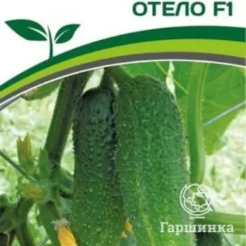 Семена Огурец пчелоопыляемый Отело F1 10 шт. Партнер
