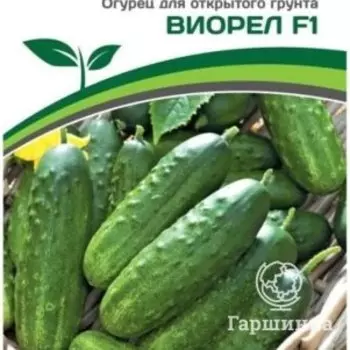 Семена Огурец пчелоопыляемый Виорел F1 0,5 гр. Партнер