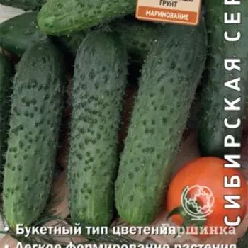 Семена Огурец Реванш F1 (А) 12, Поиск
