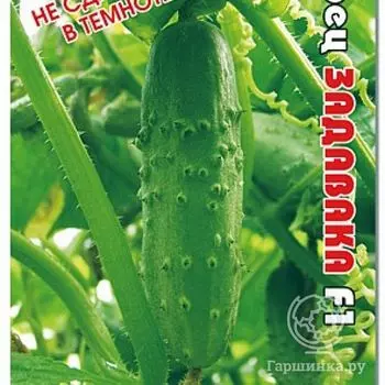 Семена Огурец Задавака F1 8шт
