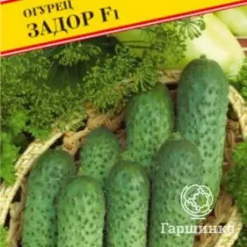Семена Огурец "Задор" F1 10 шт, Престиж