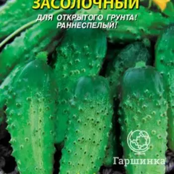 Семена Огурец Засолочный 11 шт Плазменные семена