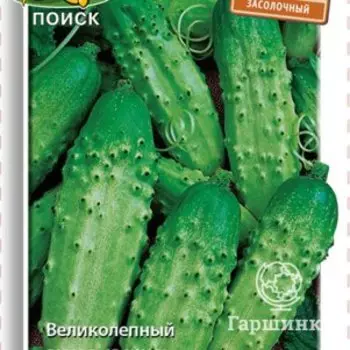 Семена Огурец Засолочный 15, Поиск