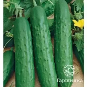 Семена Огурец Зозуля F1 10 шт. ЦП Гавриш