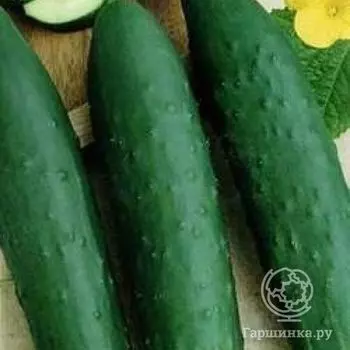 Семена Огурец Зозуля F1 б/п