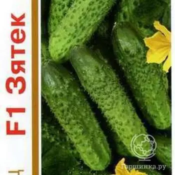 Семена Огурец Зятек F1 1+1 20шт