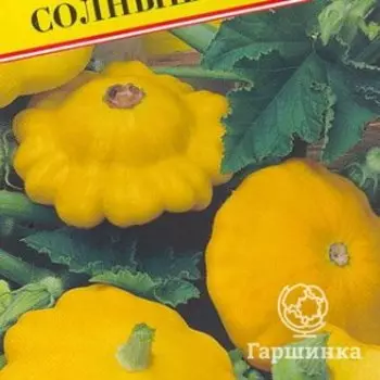 Семена Патиссон "Солнышко" 5 шт, Престиж