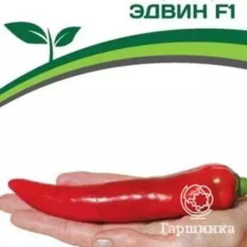 Семена Перец острый Эдвин F1 5 шт. Партнер