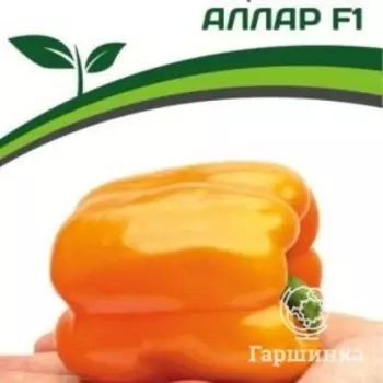 Семена Перец сладкий Аллар F1 5 шт. Партнер