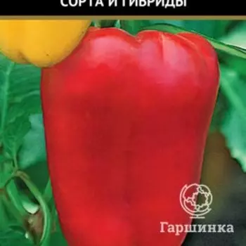 Семена Перец сладкий Фараон F1 (А) 12, Поиск