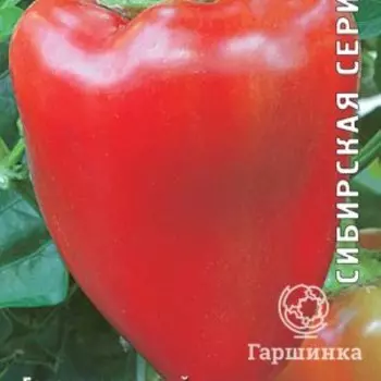 Семена Перец сладкий Кавалер 0,25, Поиск