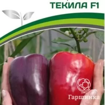 Семена Перец сладкий Текила F1 5 шт. Партнер