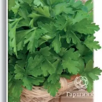 Семена Петрушка Бриз 3, Поиск