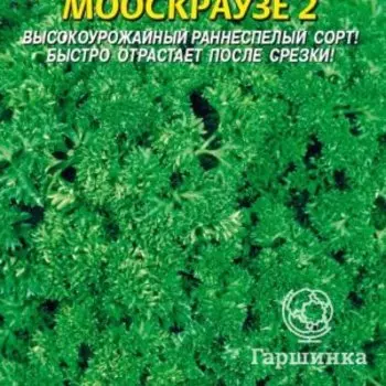 Семена Петрушка Мооскраузе 2 2 гр Плазменные семена