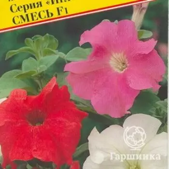 Семена Петуния гранд."Игл" Смесь F1 10 др, Престиж