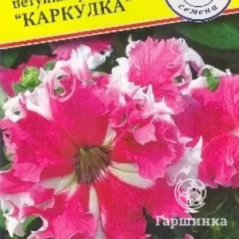 Семена Петуния гранд."Каркулка" 10 др, Престиж