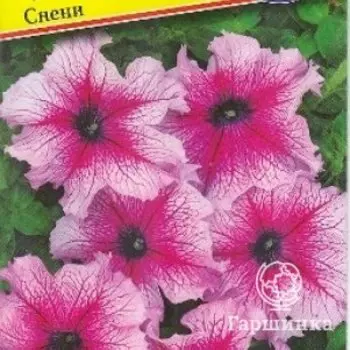 Семена Петуния гранд."Нана" Снени F1 10 др, Престиж