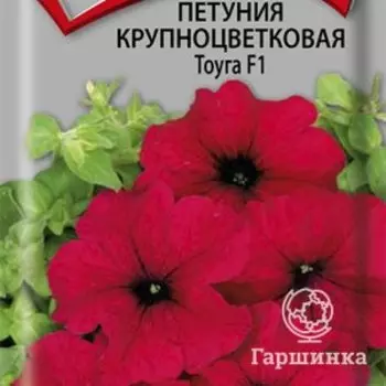 Семена Петуния крупноцветковая Тоуга F1 20, Поиск