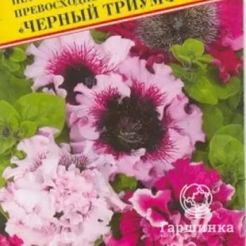 Семена Петуния превосходнейшая "Черный Триумф" 10 др, Престиж
