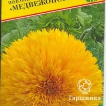 Семена Подсолнечник однолетний "Медвежонок" 10 шт, Престиж