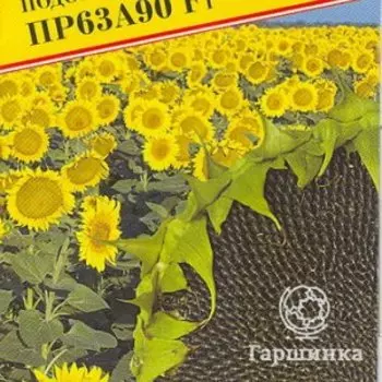 Семена Подсолнечник "ПР63А90" F1 15 шт, Престиж