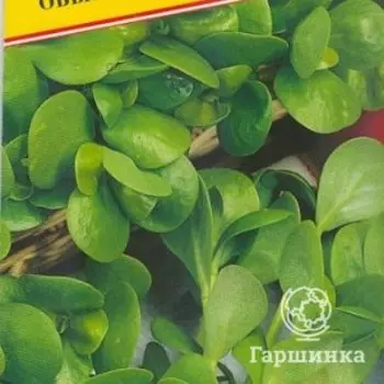 Семена Портулак обыкновенный 1 гр, Престиж