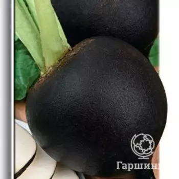 Семена Редька Чернавка 2, Поиск