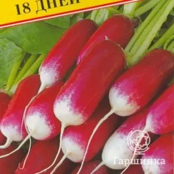 Семена Редис "18 дней" 1 гр, Престиж