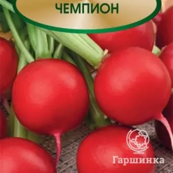 Семена Редис Чемпион 3, Поиск