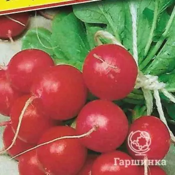 Семена Редис "Мидуэй" F1 1 гр, Престиж